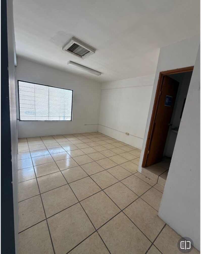
								Local Comercial al Norte full									