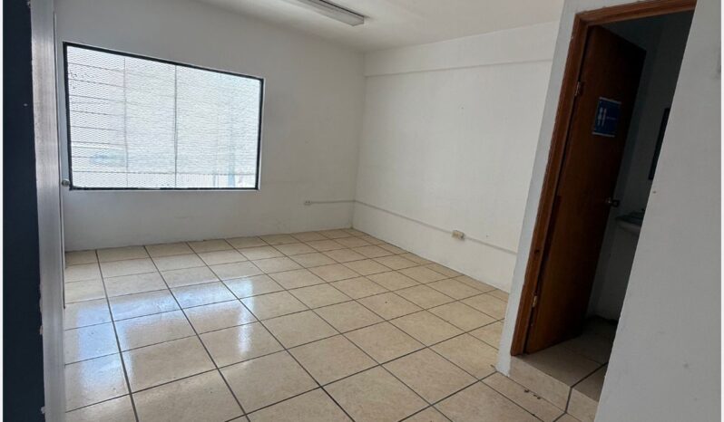 
								Local Comercial al Norte full									