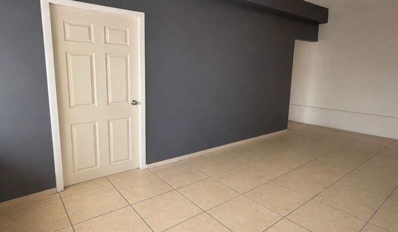 
								Local Comercial al Norte full									