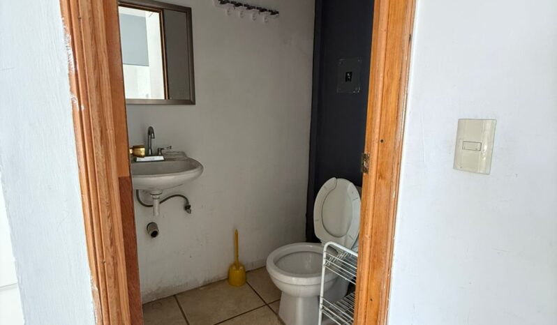 
								Local Comercial al Norte full									